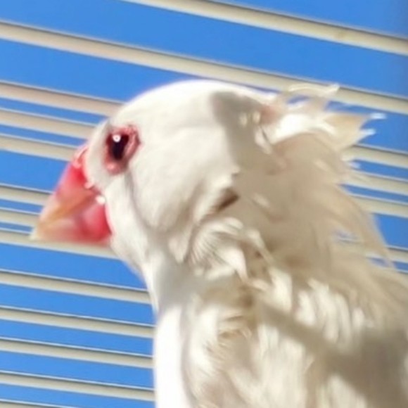 Meet your Posher, Alex - Picture 1 of 1